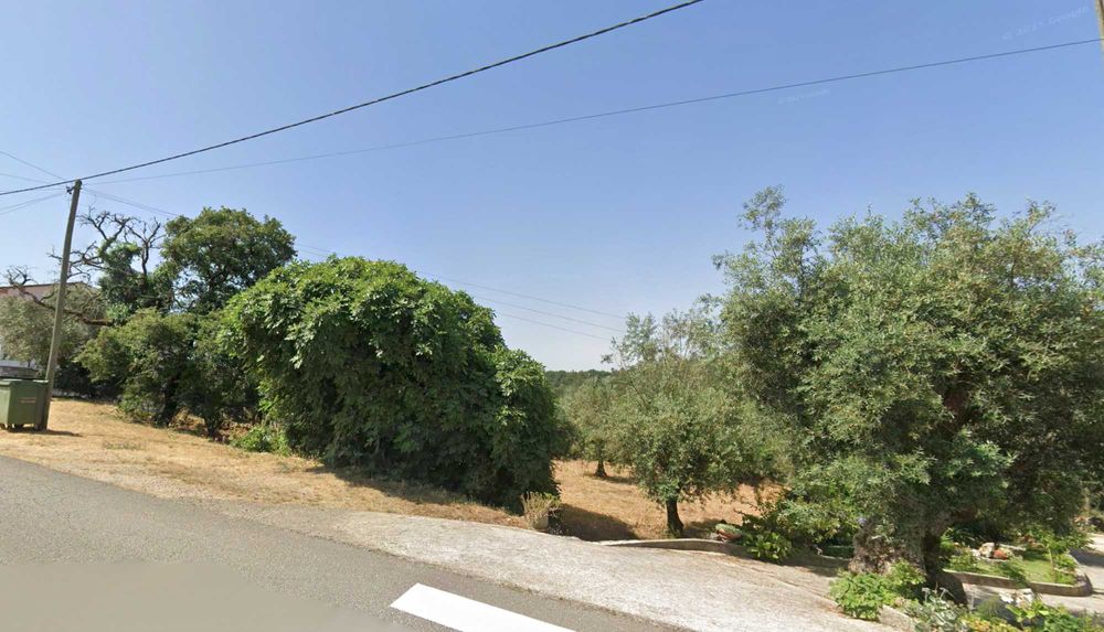 Terreno Rústico 600m² p/CONSTRUÇÃO c/Oliveiras || Lagarteira, Ansião