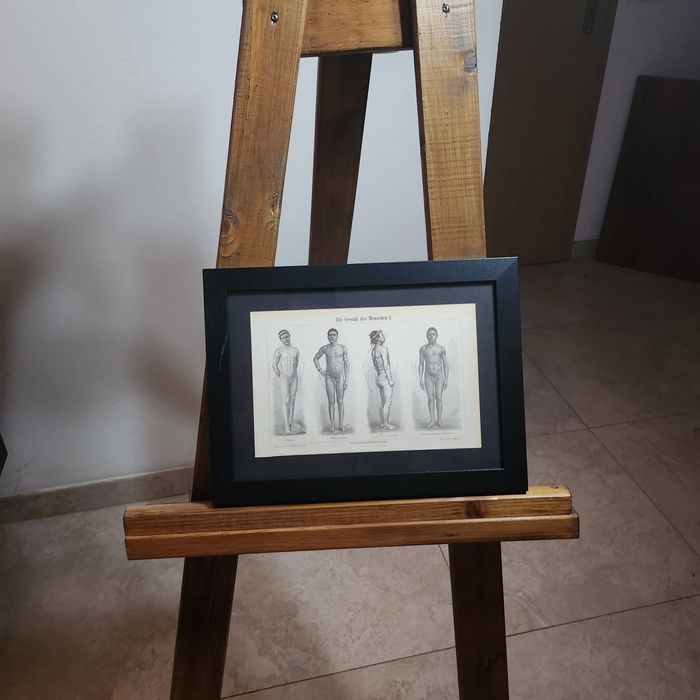 Grafika XIX wiek antropologia