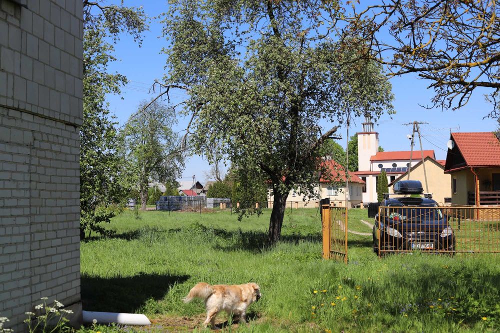 Gospodarstwo / siedlisko z dużą działką