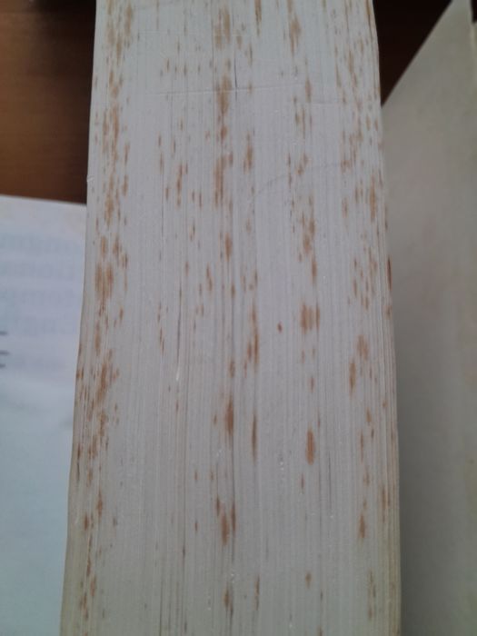 Longman Dictionary of Contemporary English