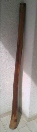 Didgeridoo aborígene