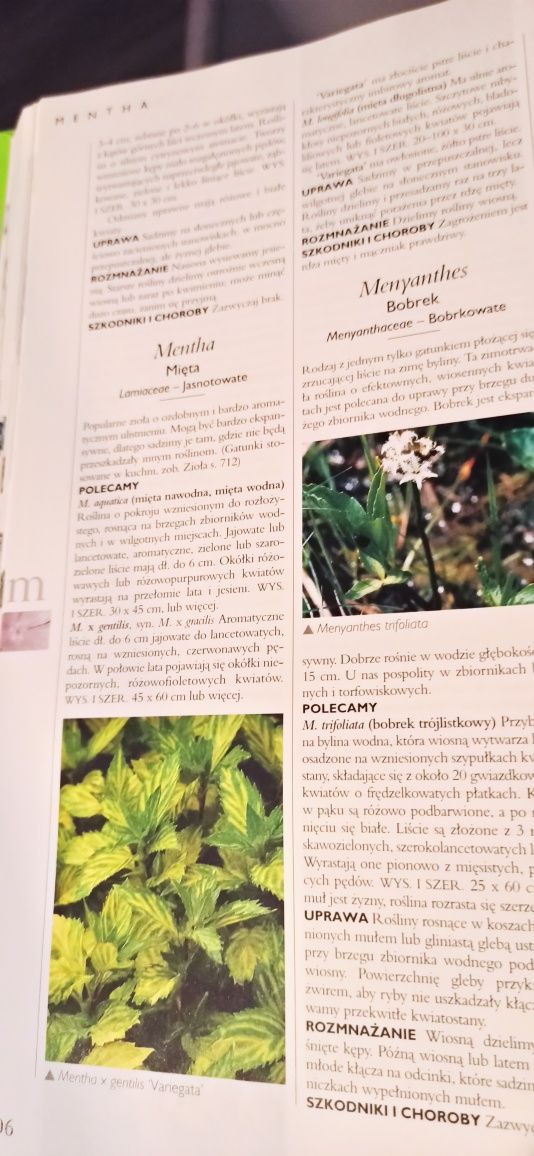 Wielka ilustrowana Encyklopedia Roślin Ogrodowych