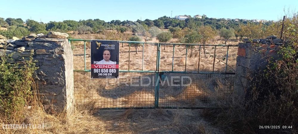 ? Terreno Rústico à Venda – Com Árvores de Fruto, Apoio Agrícola e...