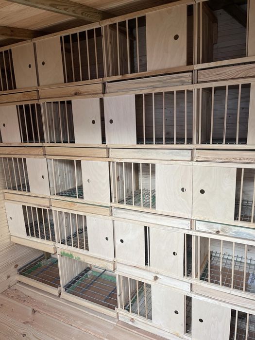 Buda dla paa/ kurnik/ golebnik