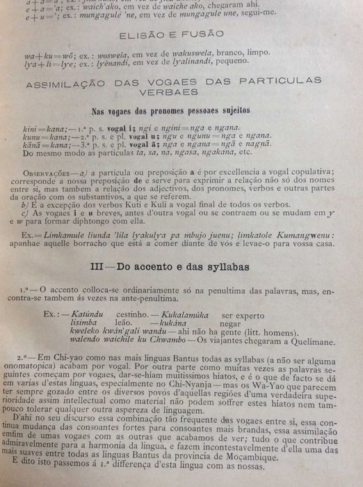 Pequeno vademecum da lingua bantu na Provincia de Moçambique...188?