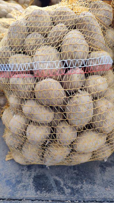 Ziemniaki Denar, Jurek,żółty