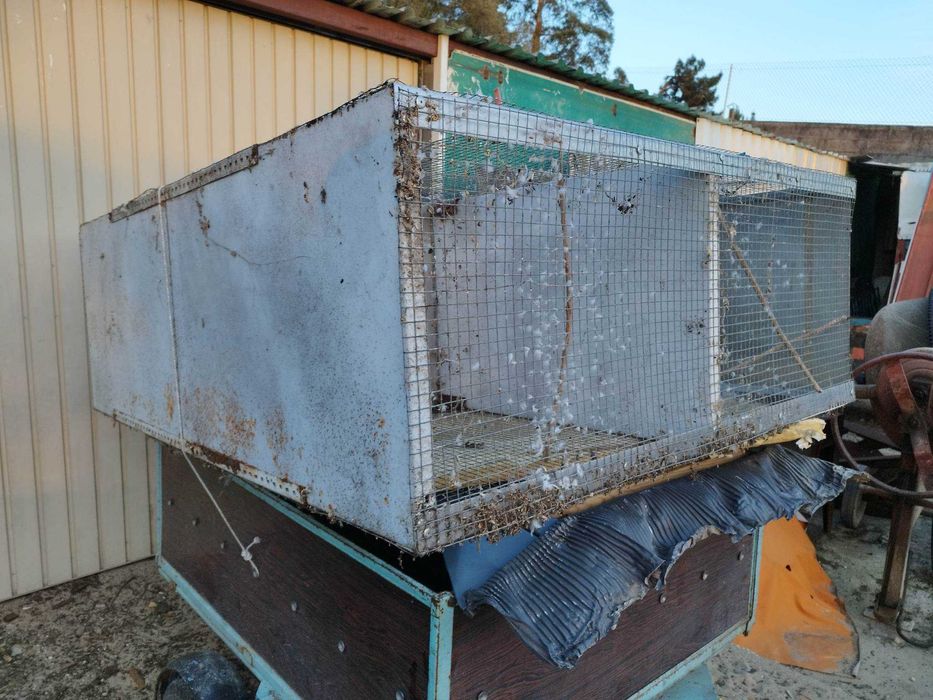 Gaiolas para pássaros duas