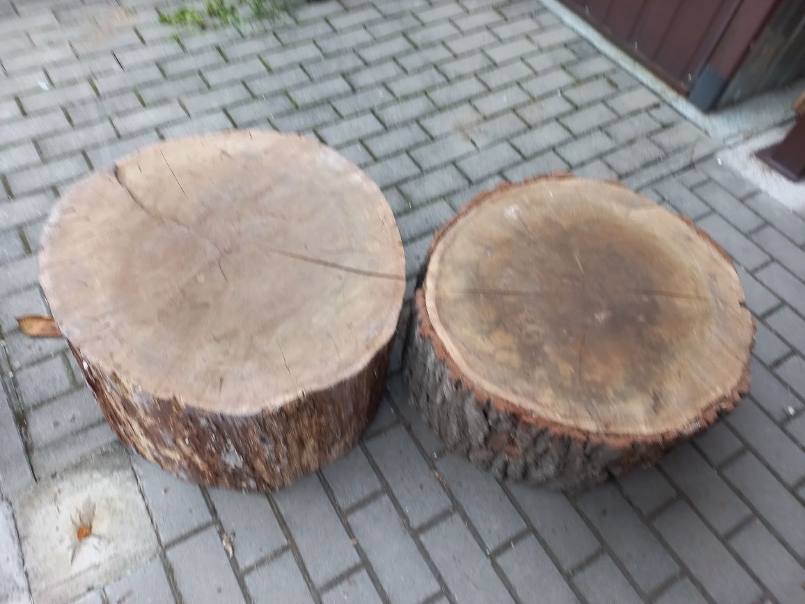 Kloce dębowe suche