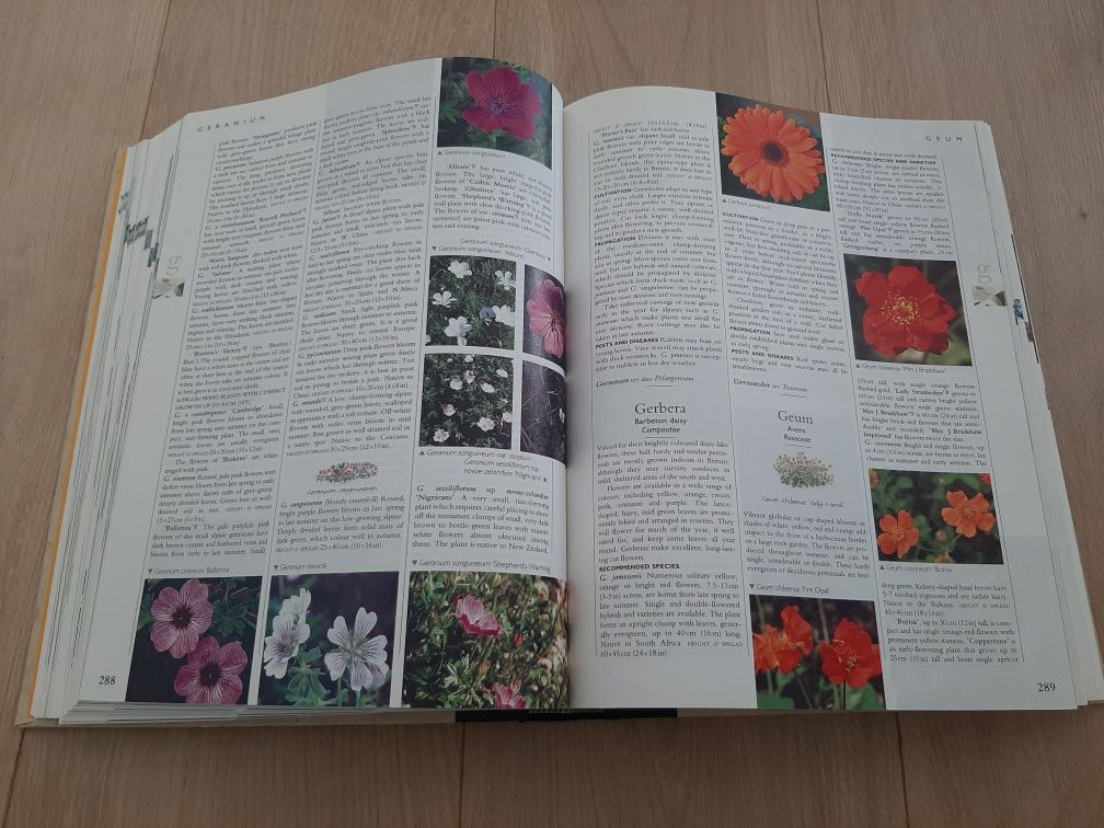 Encyklopedia of Garden plants & flowers - Reader's Digest