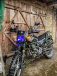 Shineray intruder XY200