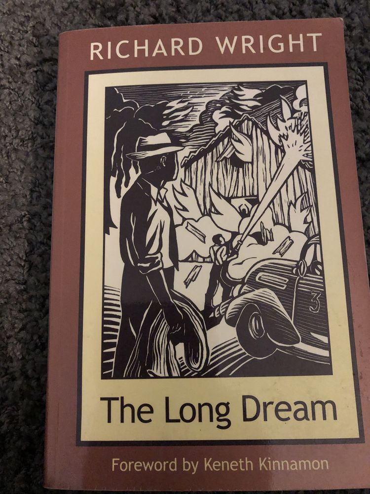 The Long Dream