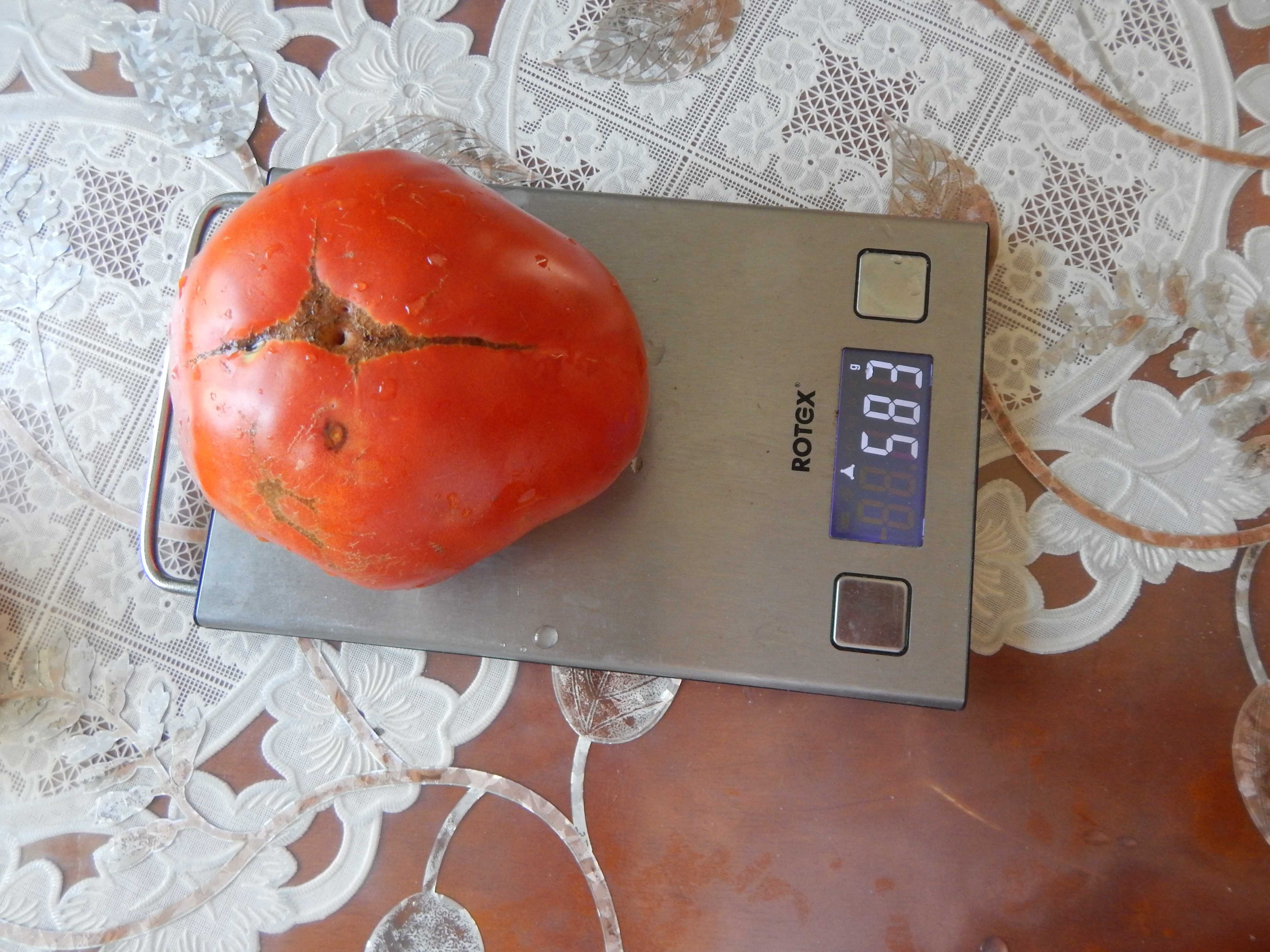 Насіння помідорів " Рожевий гігант" і  "Диво помідор"