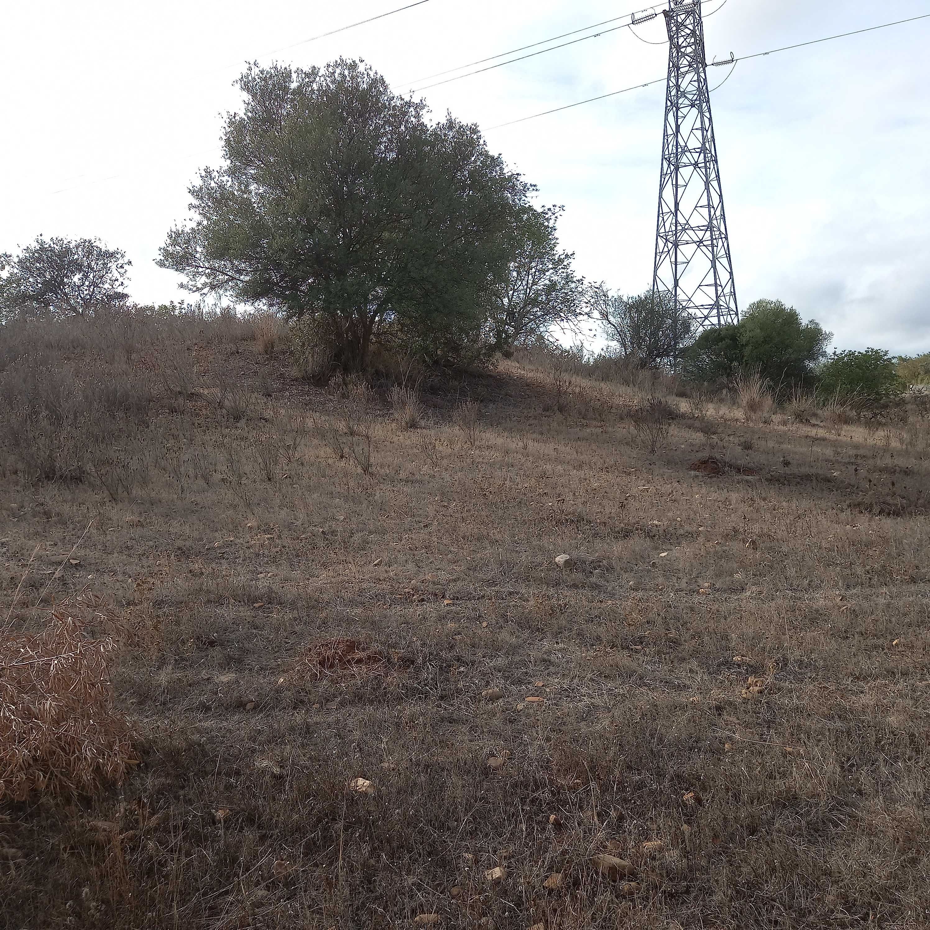 Terreno Rustico (Rustic Plot of Land) Paderne, Albufeira