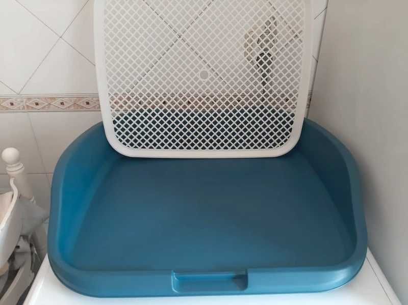 WC de  treinamento para cães