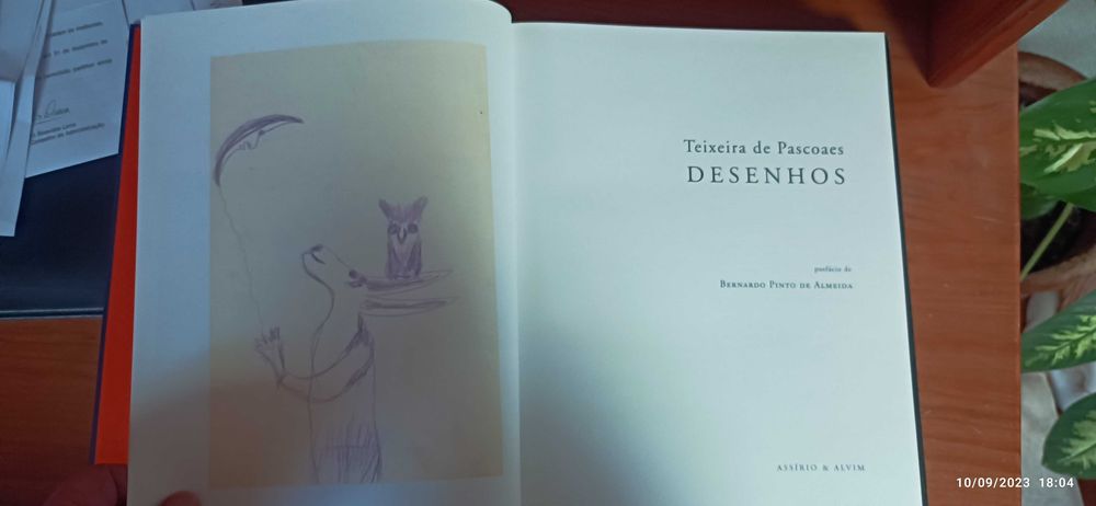 Livro Pedro Proença