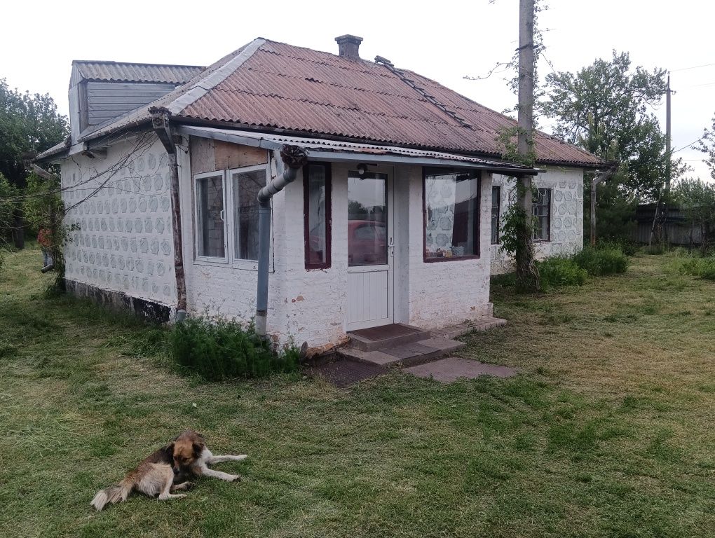 Продам дом-хутор ! Райский уголок !!