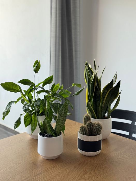 4 vasos de planta + saco de terra + kit jardinagem