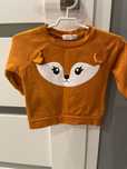 Bluza lisek Sinsay r 74