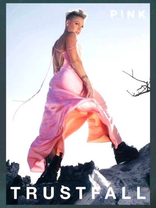 Plakat - P!NK: Trustfall