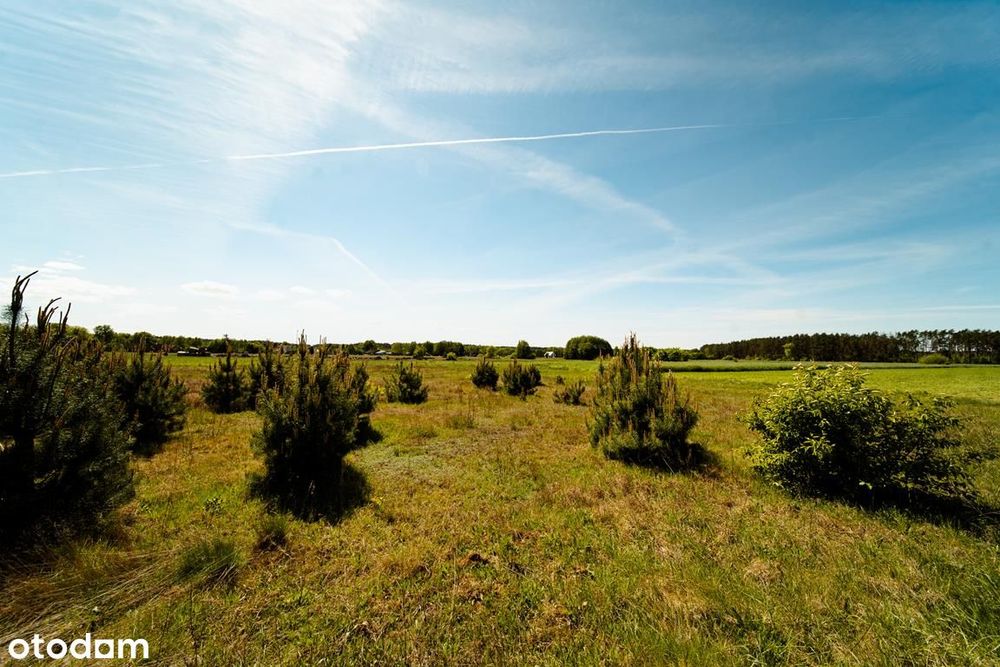 Tanie działki w Puszczy Noteckiej