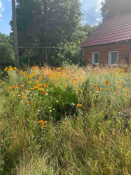 Продаю  земельну ділянку  під будівництво. або хорошу Дачу