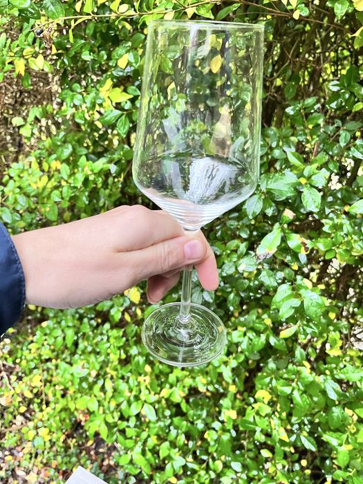 Бокали Scott Zwiesel