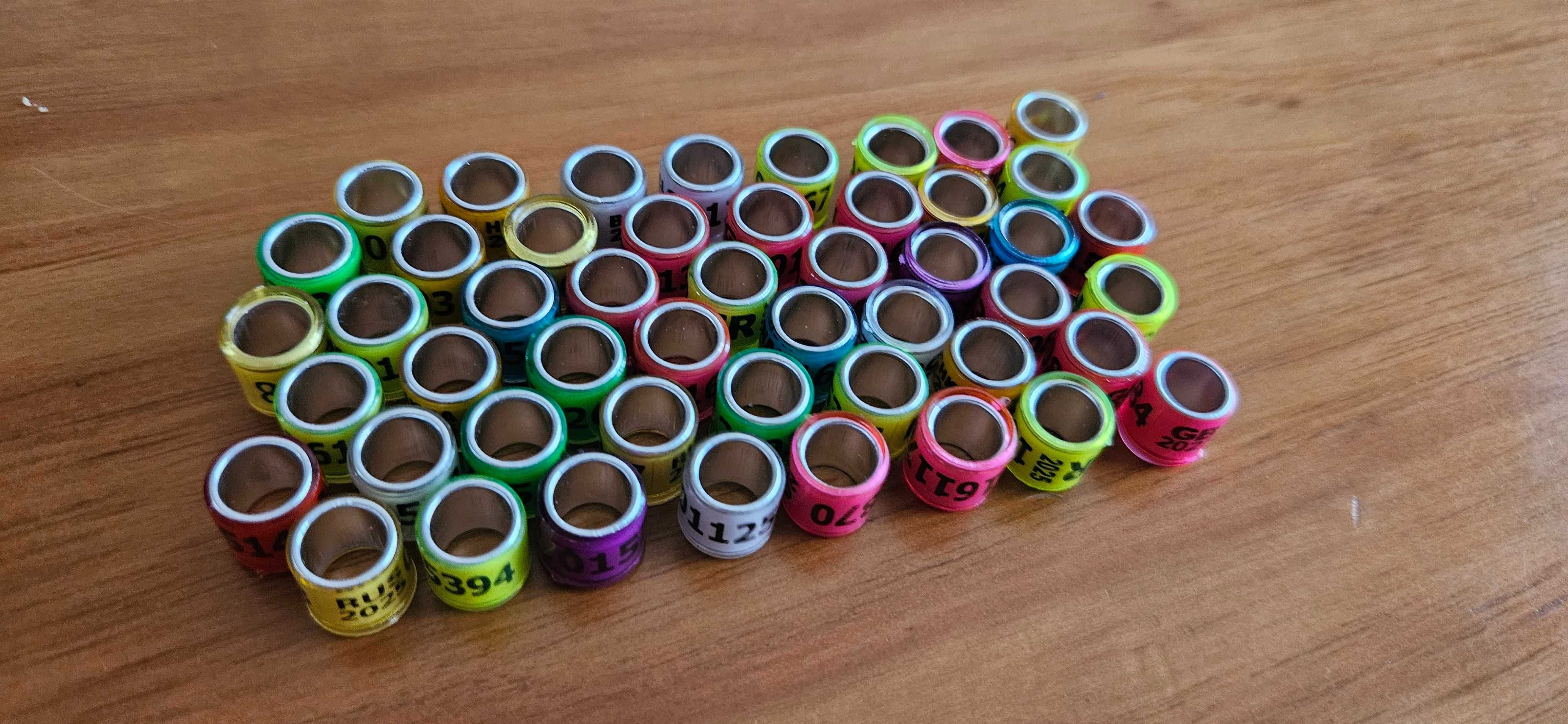 50 anilhas para Pombos 2025 - cores mistas