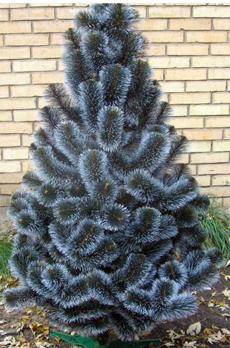 Штучна ялинка 230 см