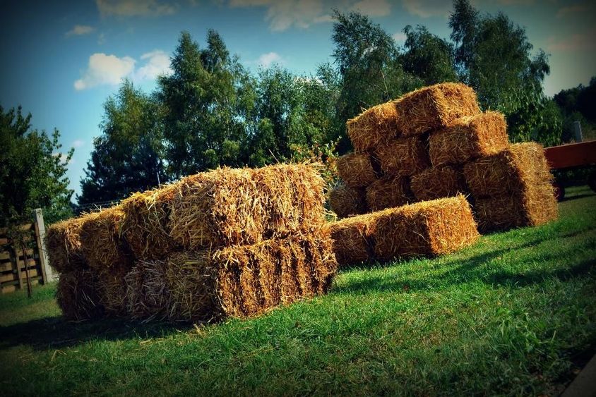 Słoma w kostkach 2024!! (Snopek) Tegoroczne Wysyłka, Możliwy Transport