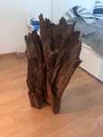 Korzeń mangrowca 77cmx38cmx20cm