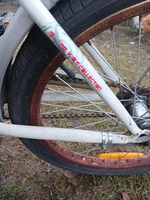 Rower dla chłopca jak I dla dziewczynki