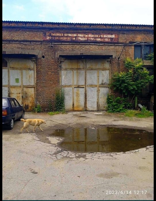 Сдам боксы и гаражи с въездом фуры на южном шоссе