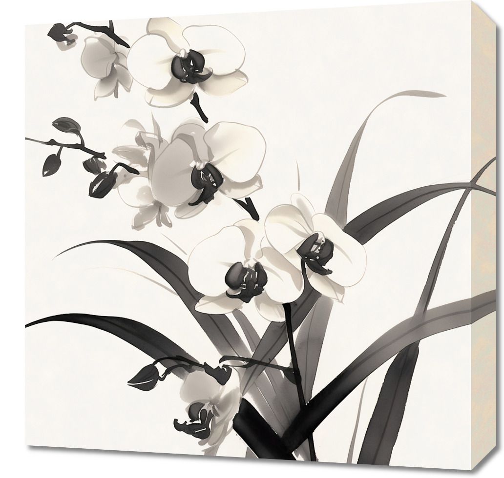 Obraz 50x50cm Orchidea