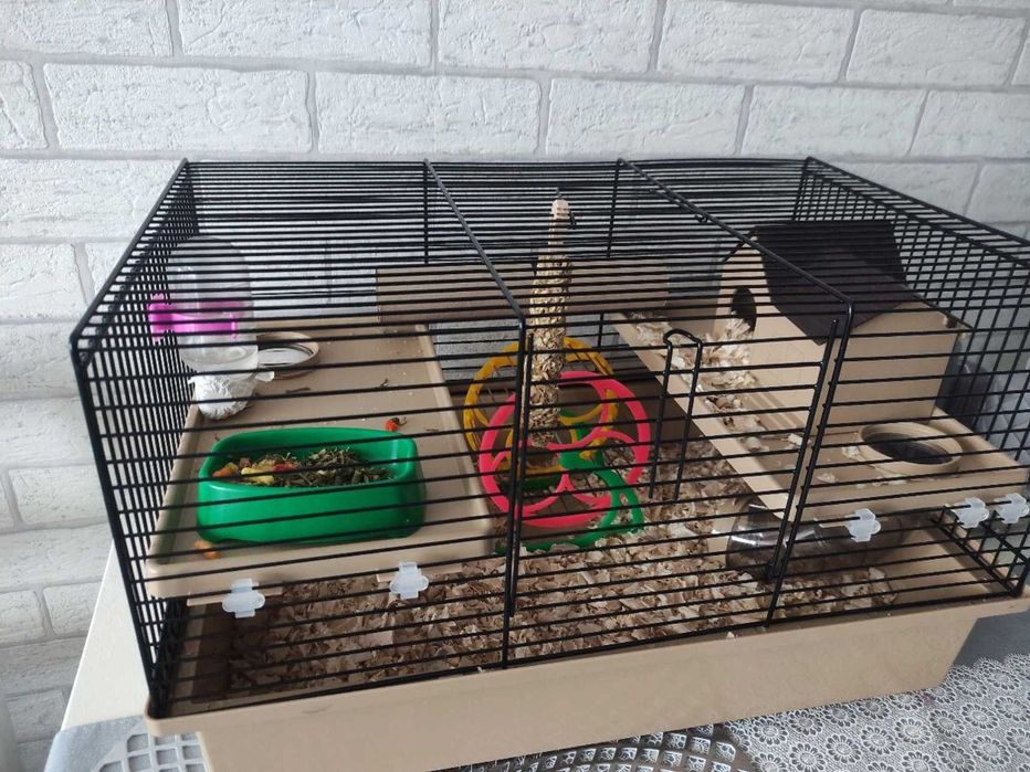 Klatka do chomika z tunelami i kołowrotkiem, zestaw startowy