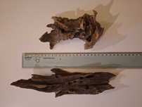 Troncos de madeira para terrário aquário de répteis