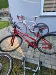 Rower Diamant Union 30