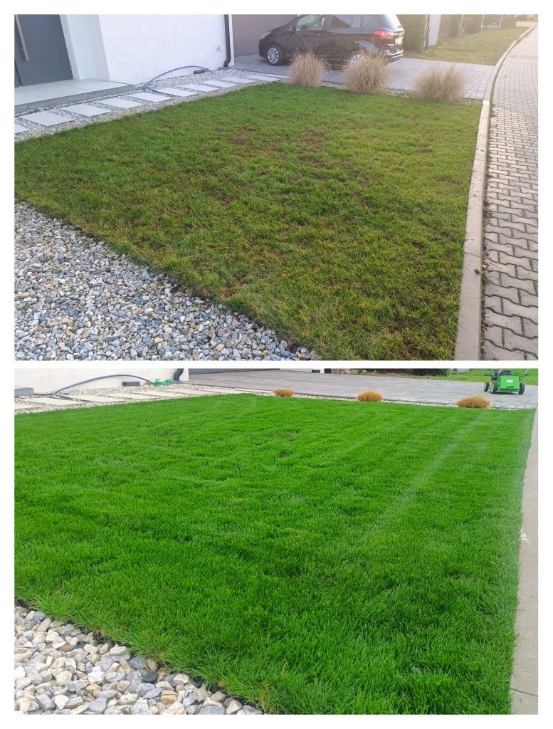 "Zielony Fyrtel"  Zakładanie trawników i ogrodów