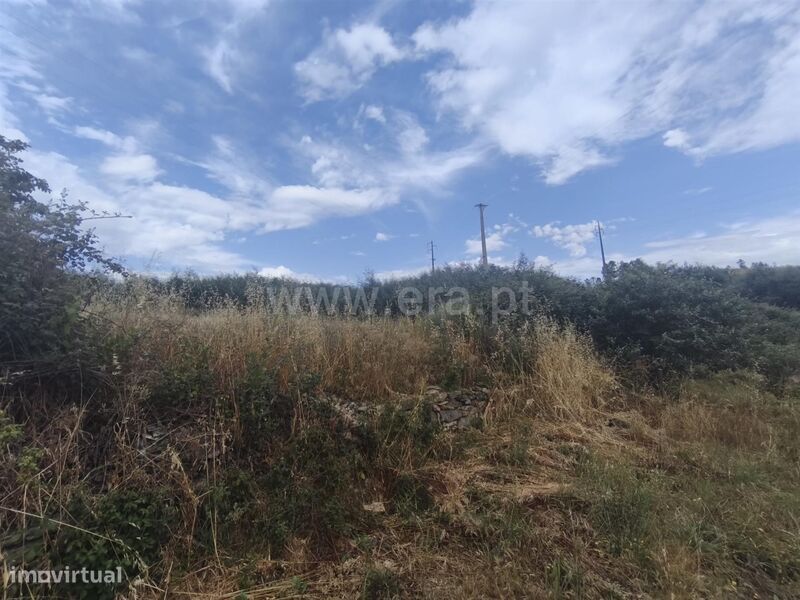 Terreno Rústico / Fundão, Silvares