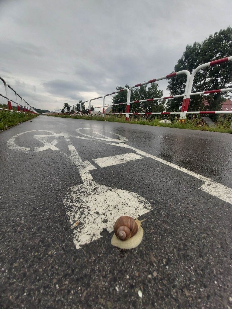 Noclegi Apartamenty Domki Ścieżka Velo Czorsztyn Dunajec Pieniny Góry