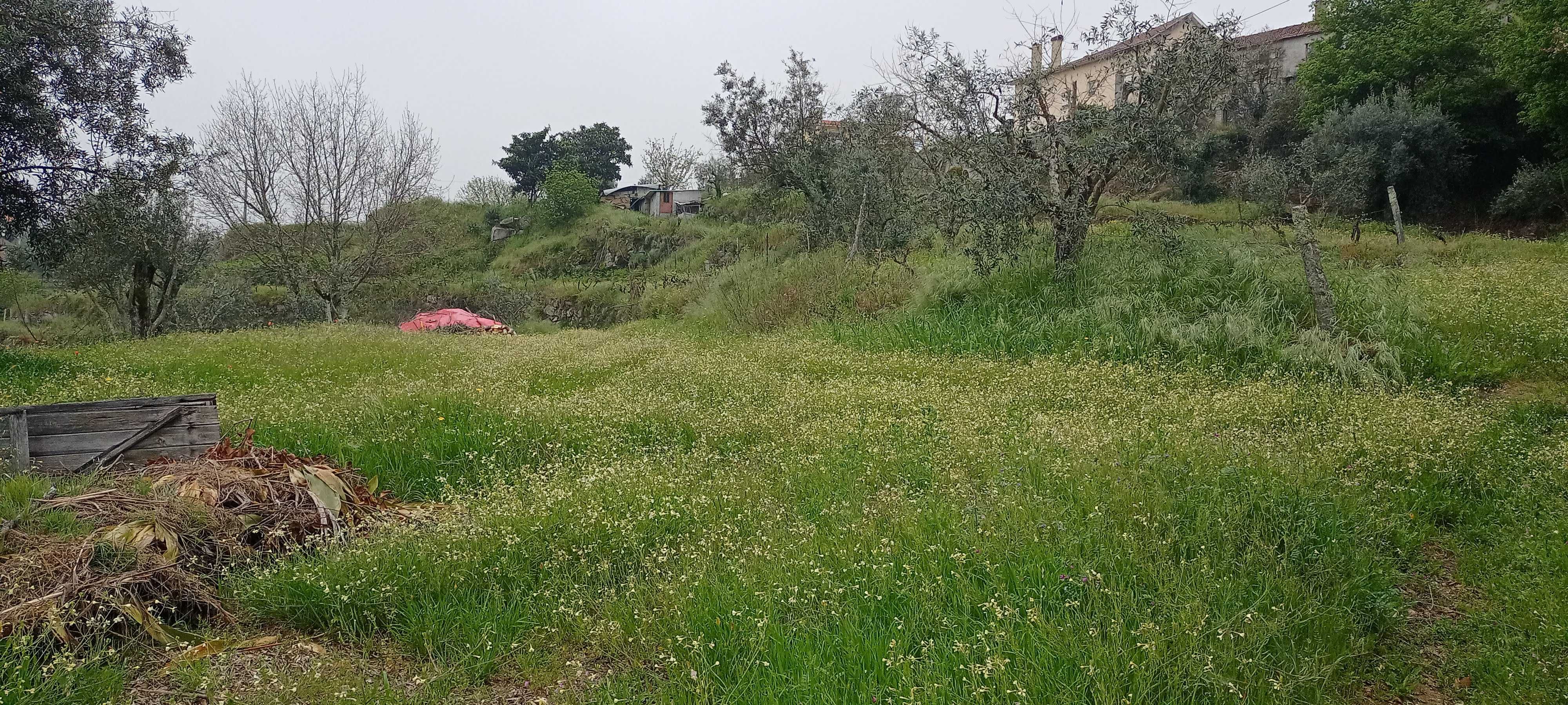 Terreno à venda na Aldeia de Casal Diz, Pindo
