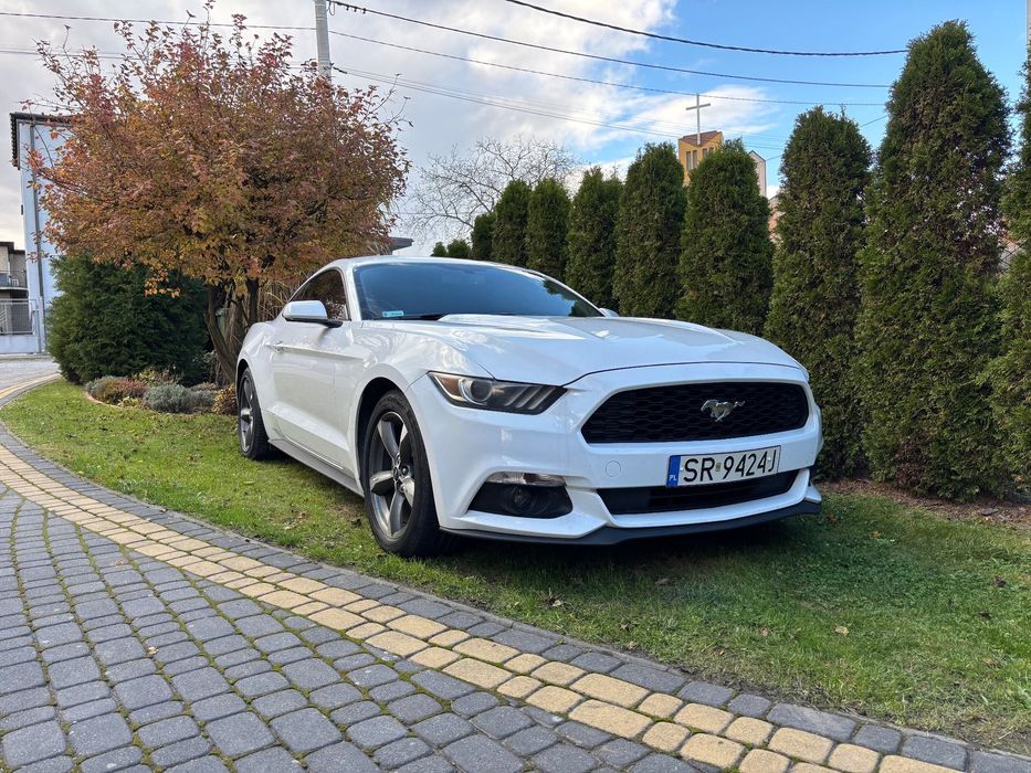 Ford Mustang Ford Mustang V6 pierwszy właściciel Zadbany!
