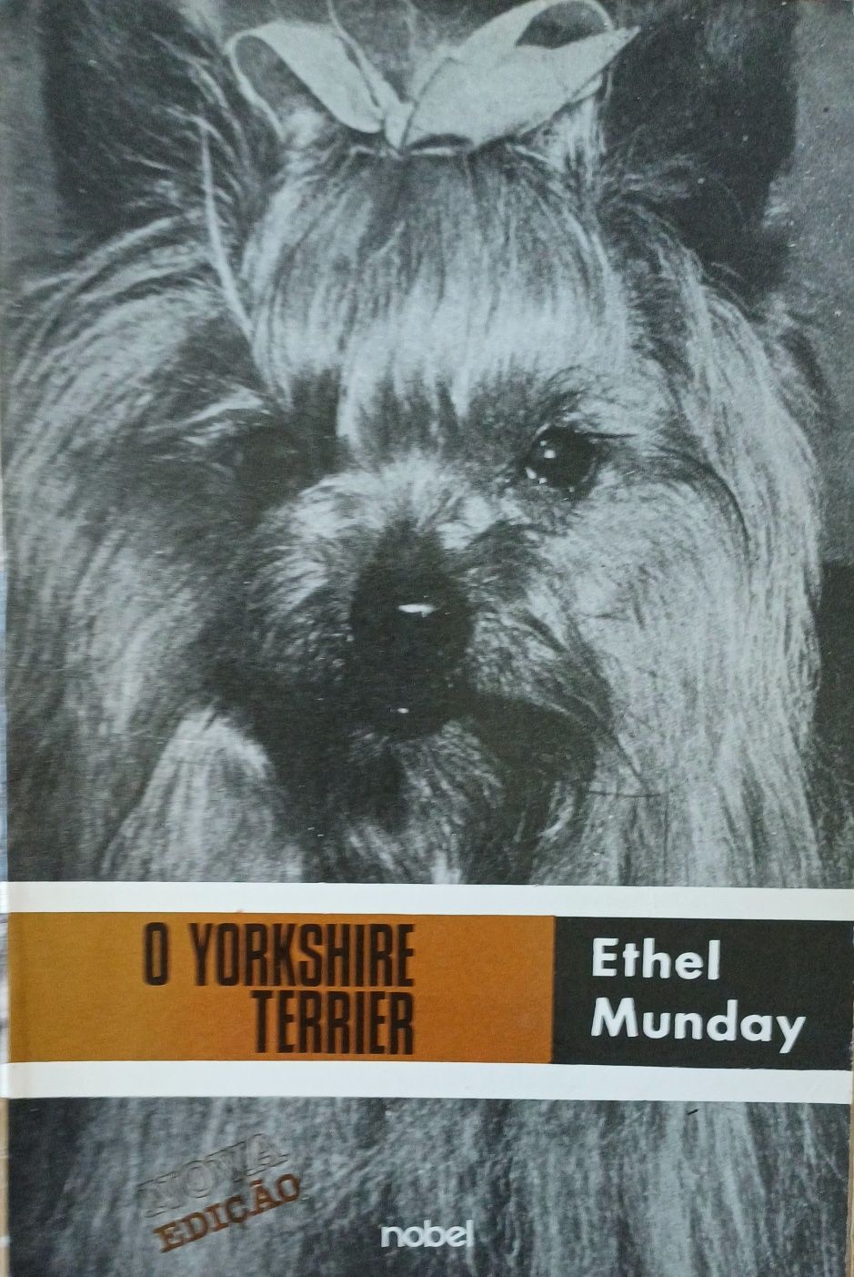 Yorkshire Livro antigo