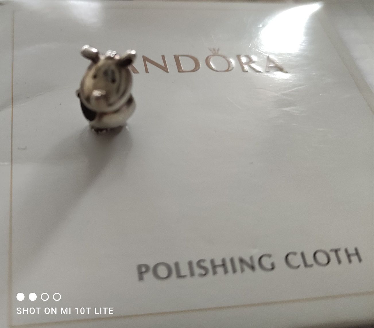 Charms Pandora Rino