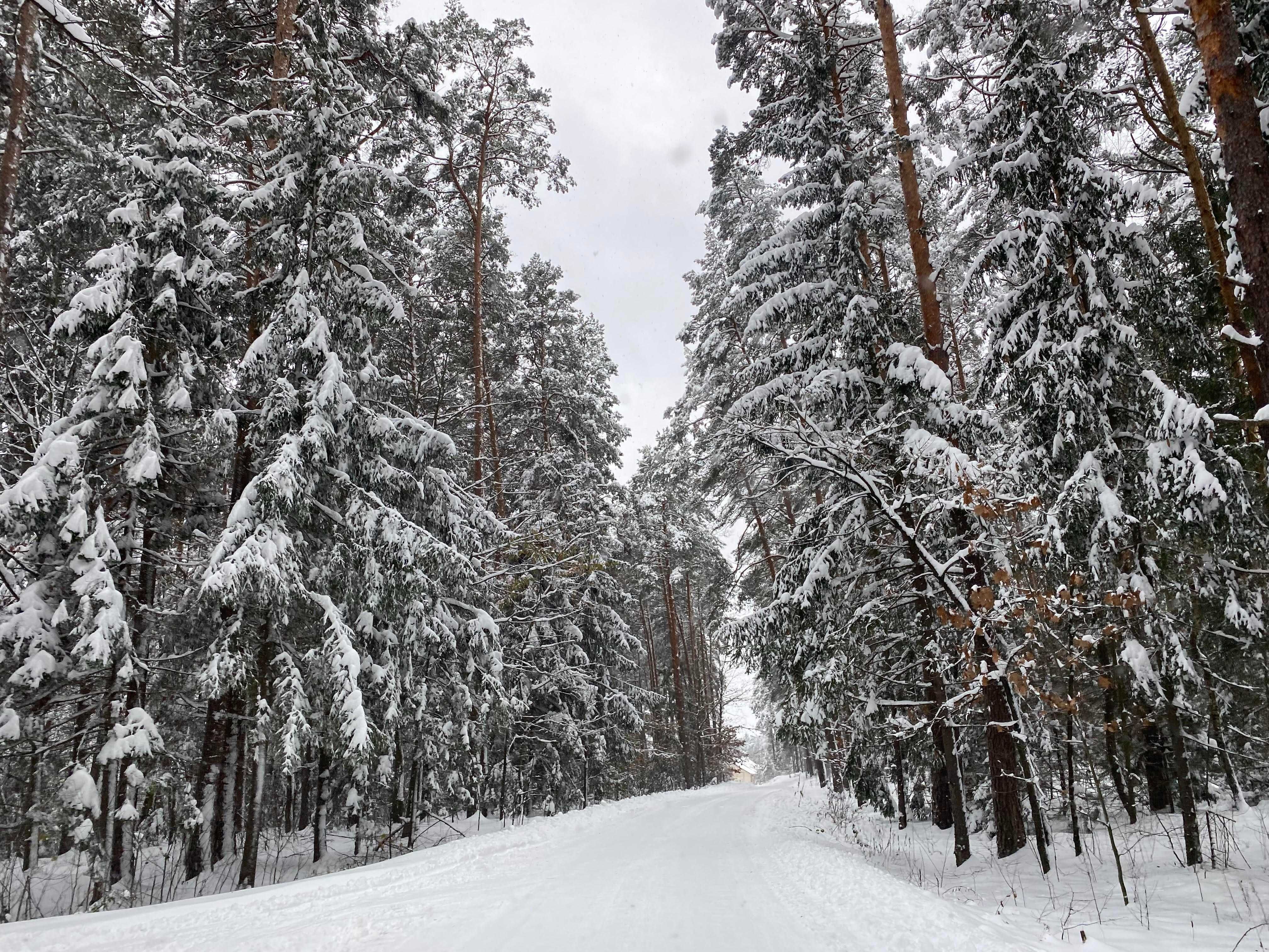 Agroturystyka "Siedlisko" Wola Mała - Biłgoraj - Zwierzyniec/Roztocze