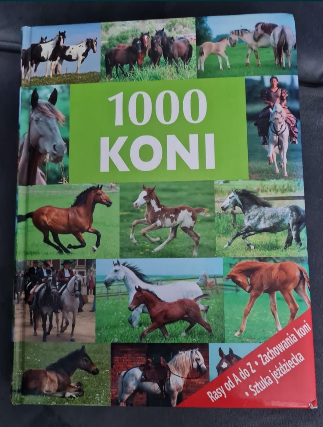 Encyklopedia 1000 Koni