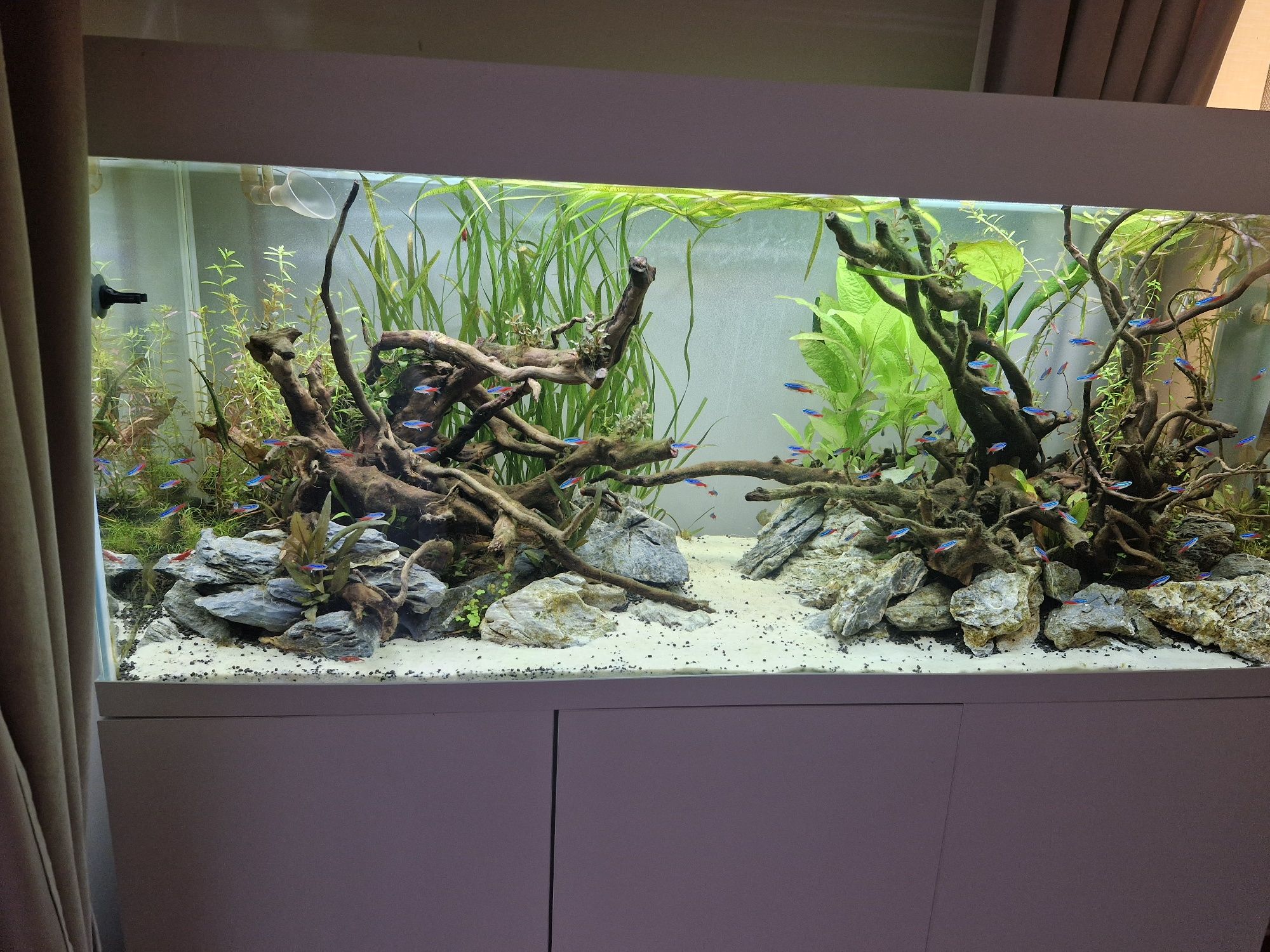 Akwarium 240litrow optiset