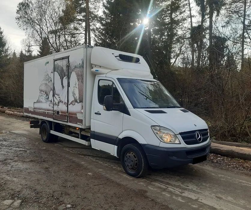 Mercedes-Benz Sprinter 516 Cdi Chłodnia Carrier, bliźniak,3,5T