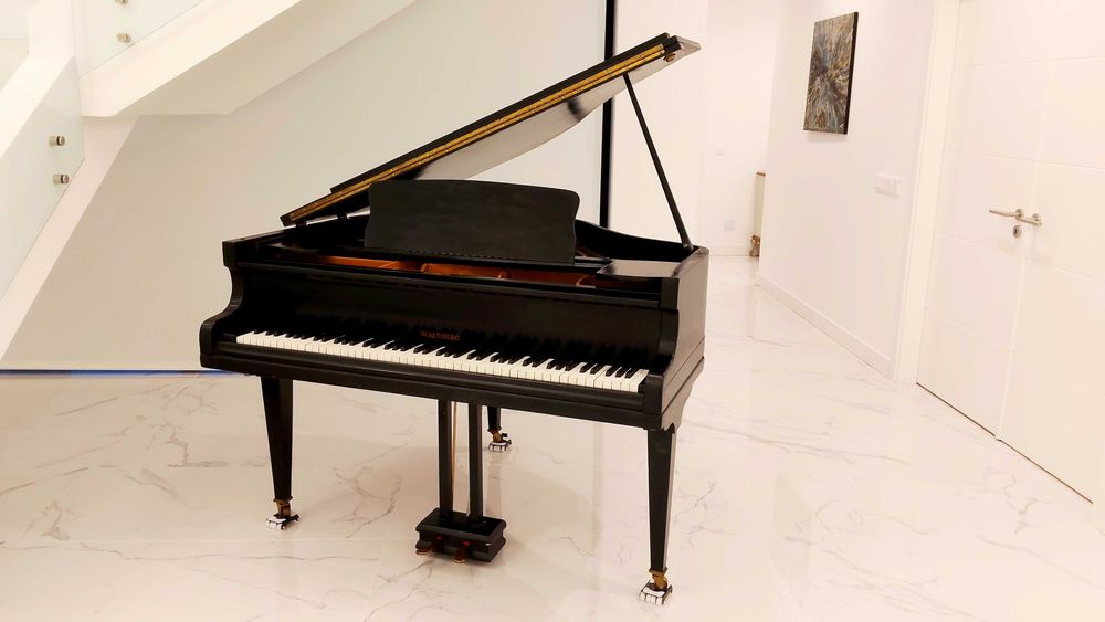 Piano de Cauda Waldberg - Berlin