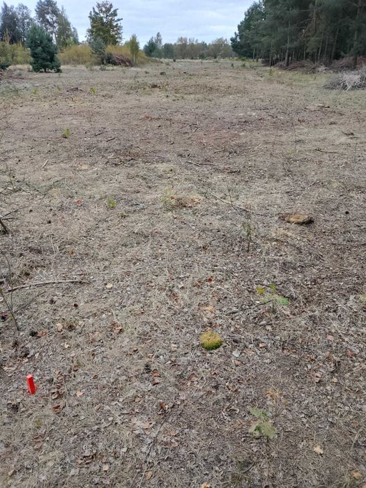 Sprzedam działkę  nr 405/5 1000 m2 Krusze gmina Klembów