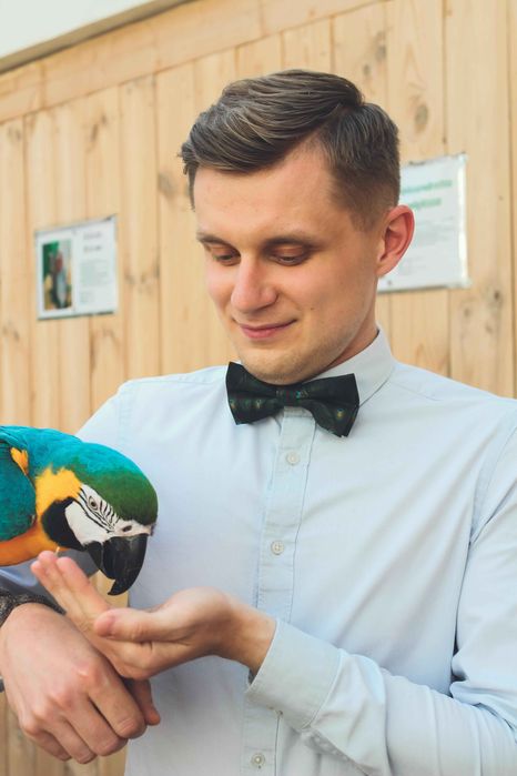 Granatowa muszka męska z satyny, regulowana 31-43 cm